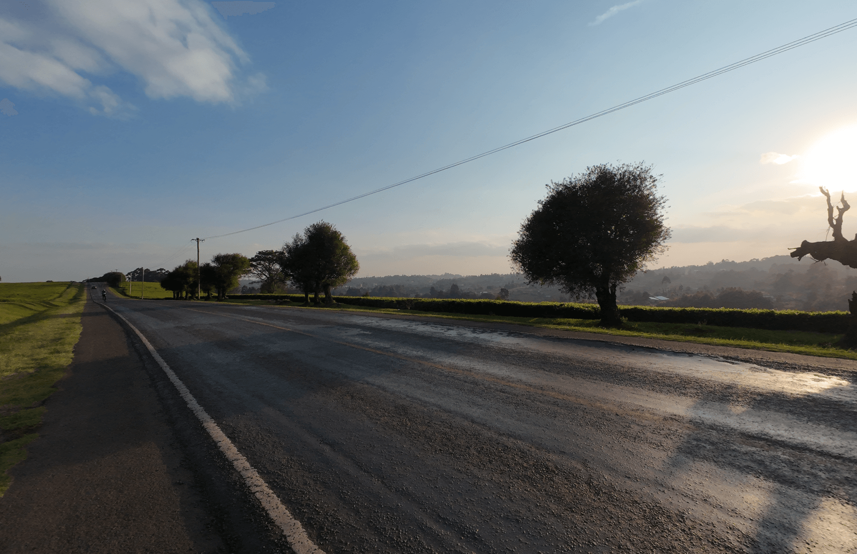 Stunning landscape of Tigoni tea farms